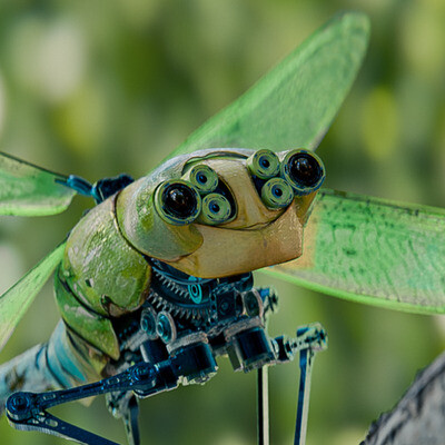 dragonfly_bot