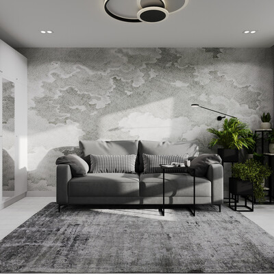 Visualization of the room