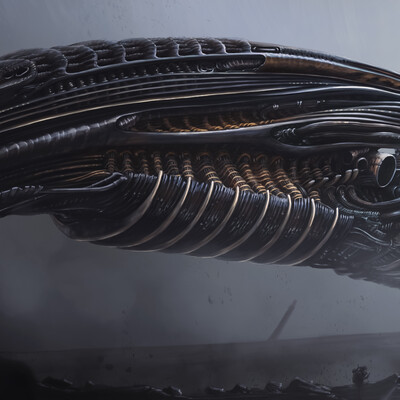 Xenoship and Navigator