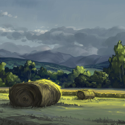 Village