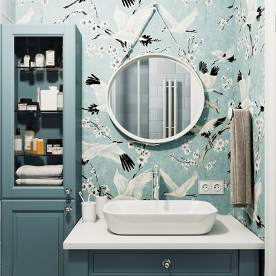 Visualization of the bathroom project