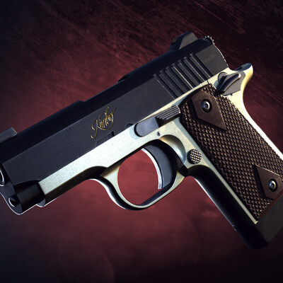 Kimber micro 9mm