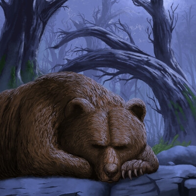 Bear