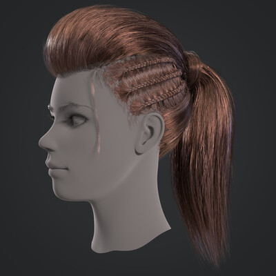 Braided Hair for the Real Time