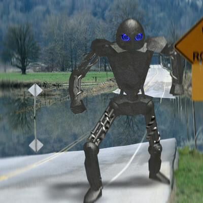 Robot