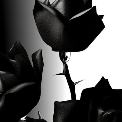 Black Rose