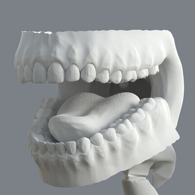 Teeth and throat