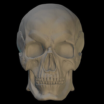 Scull study
