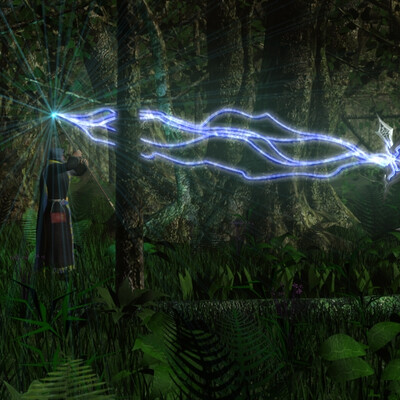 Forest