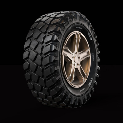 Car wheel concept