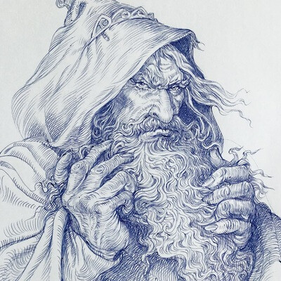 Gnome sage