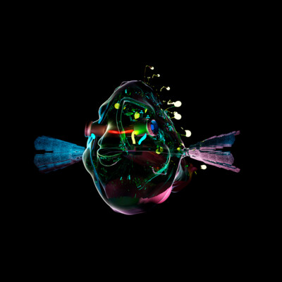 explorer fish