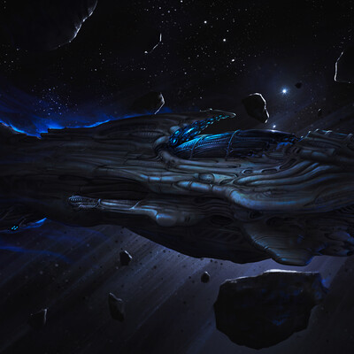 "Navigator" Starship