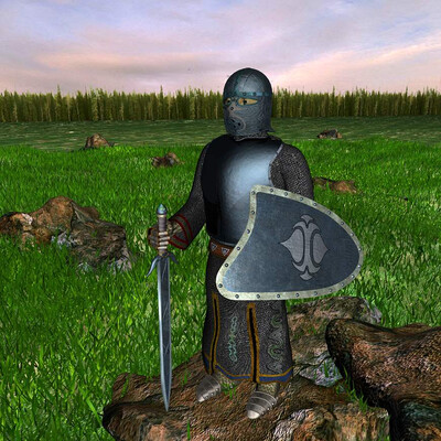 Voin v pole