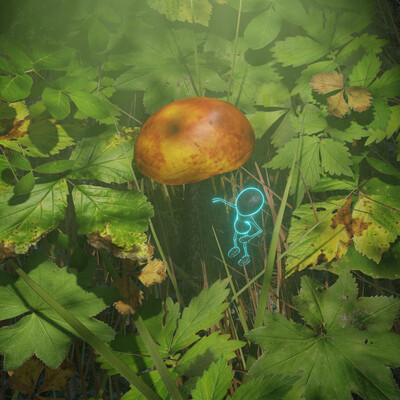 The Mushroom spirit
