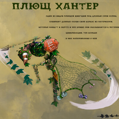 Плющ хантер /  ivy hunter