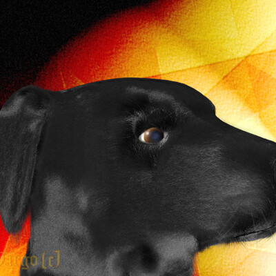 Balu