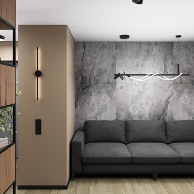 Visualization of an apartment with a total area of ​​46.5 sq.m.