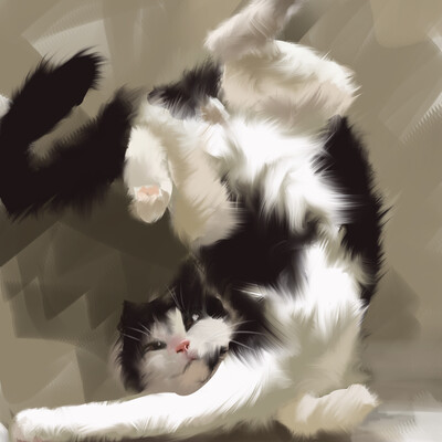 morning exercises