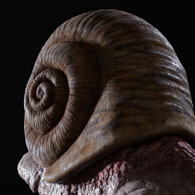SNail