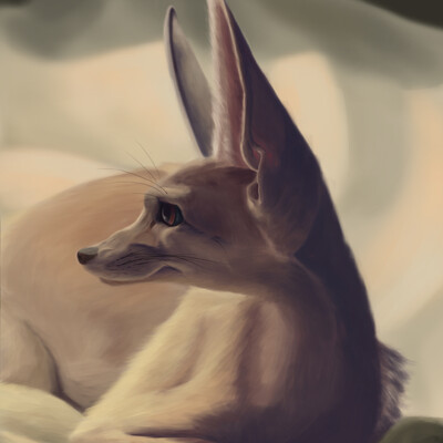Fennec fox