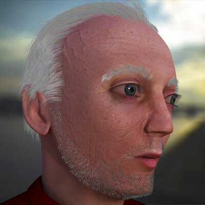 Mujskoy portret