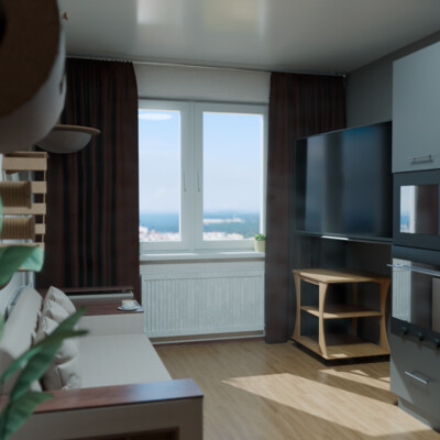 kitchen-living room