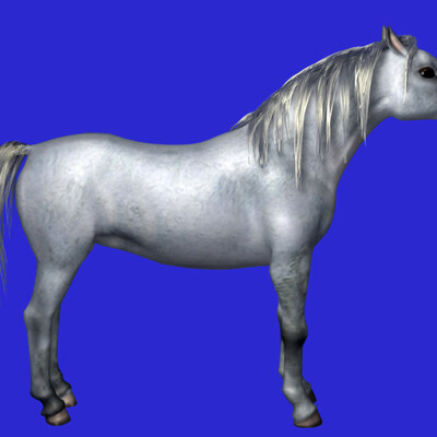 Seraya arabskaya loshad