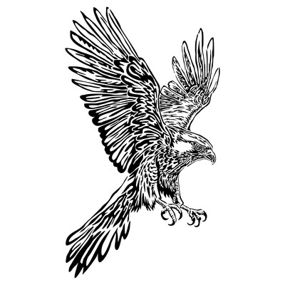 A falcon on the hunt