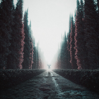 Way