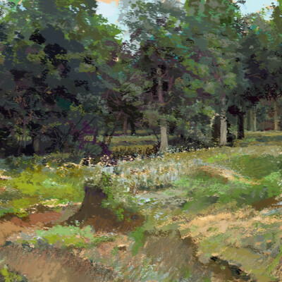 A small forest behind a sandy ravine.