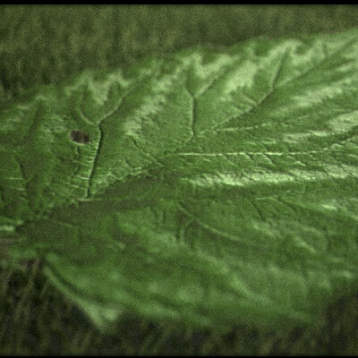 Makro: listok