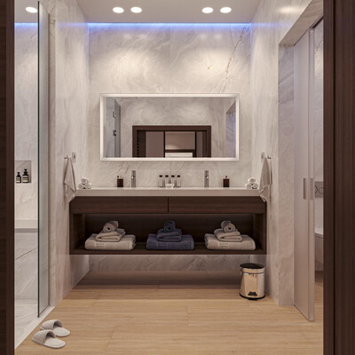 Bathroom visualization