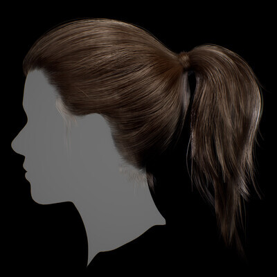 Real Time Bun Ponytail Hairstyle Haircards
