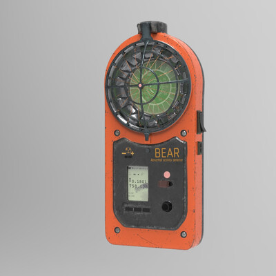Bear detector