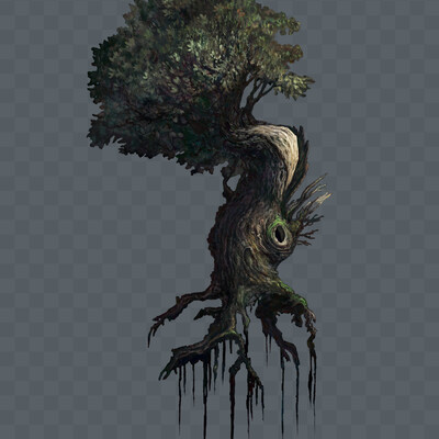 Oak