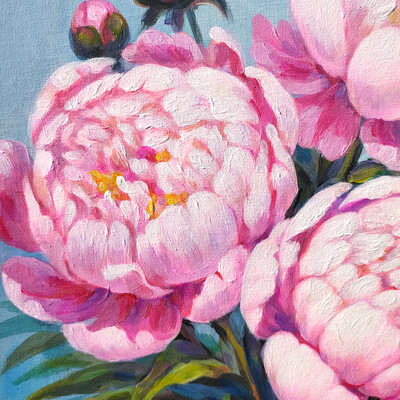 Peonies