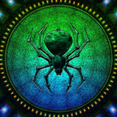 Spider