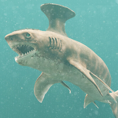 Stethacanthus - Prehistoric Shark