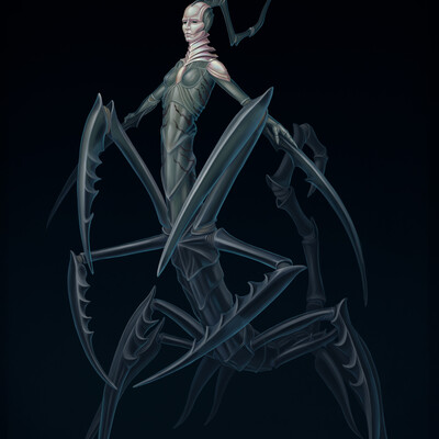 shrimp