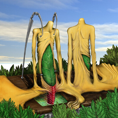 anatomic paradise
