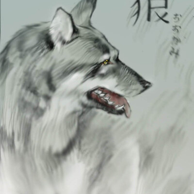volk