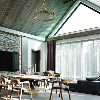 Visualization of a barbecue area in a private house.