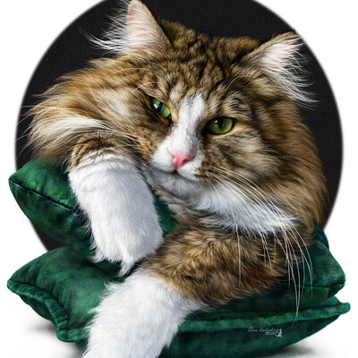 cat