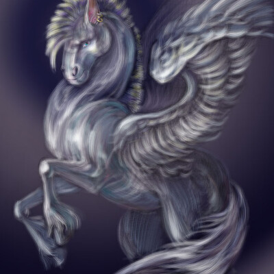 konek
