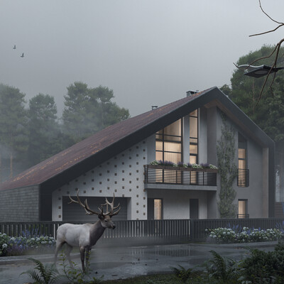 Cottage in the forest