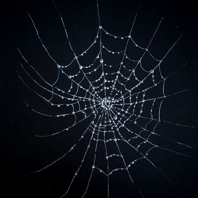 Fragility