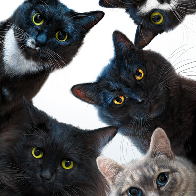 The gang