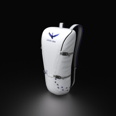 Don't go camping without a backpack "Goose Lewa".