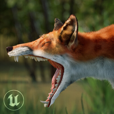 Fox head geoom Ue5 test
